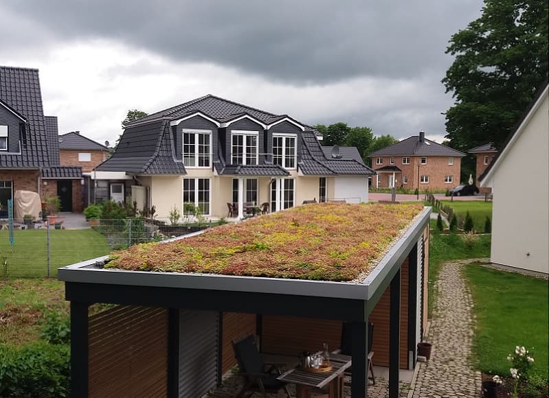 Flat green roof